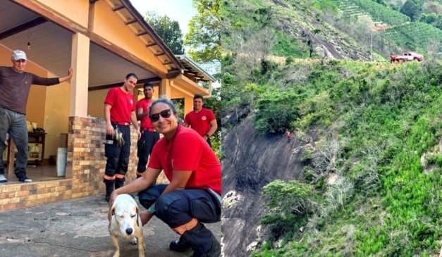 Cadela Mel resgatada após passar cinco dias presa em montanha