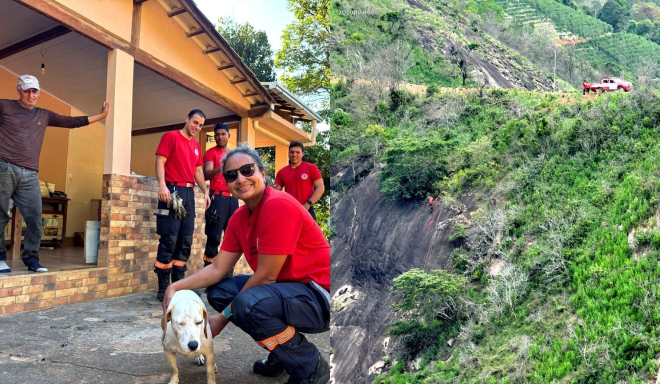 Cadela Mel resgatada após passar cinco dias presa em montanha Cadela Mel resgatada após passar cinco dias presa em montanha