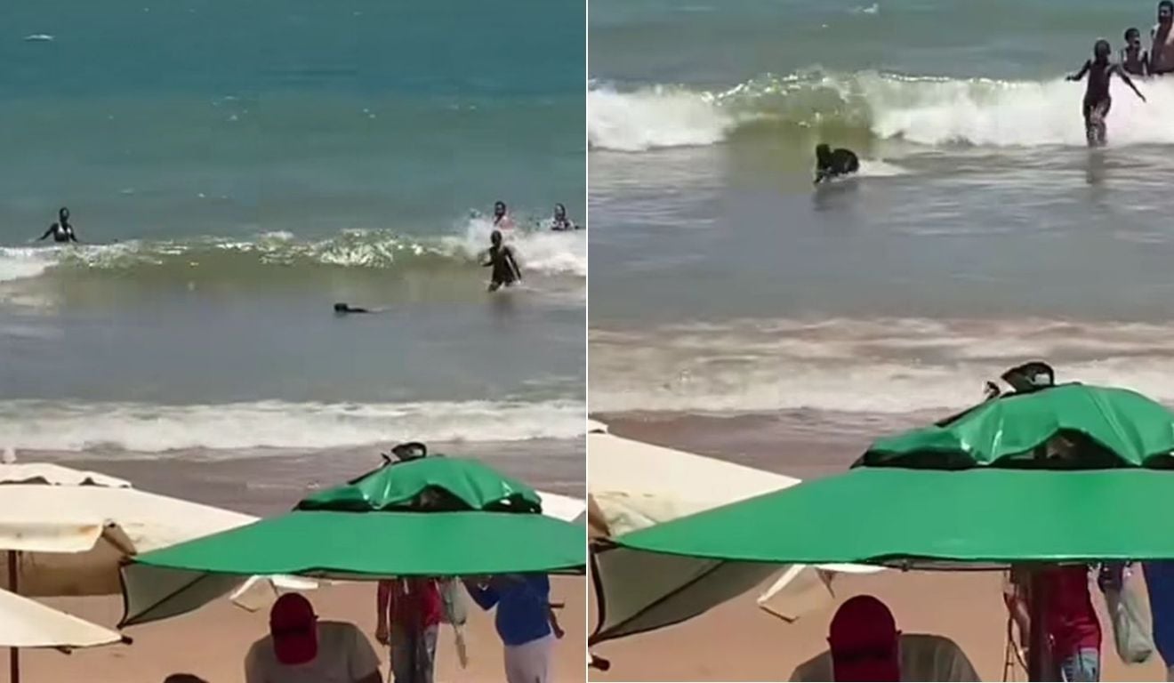 Imagem: Reprodução/Instagram/@salvamarguarll