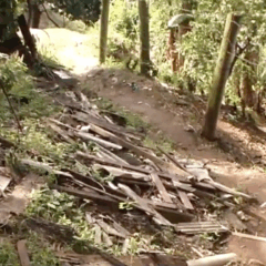 Morro do Jaburu, em Vitória/Foto: Reprodução TV Vitória