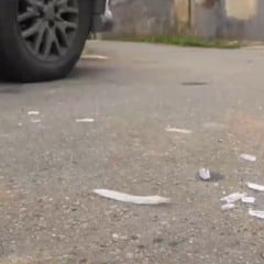 Foto: Reprodução/ TV Vitória