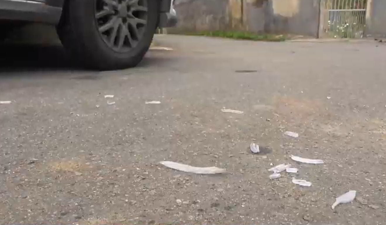 Foto: Reprodução/ TV Vitória Foto: Reprodução/ TV Vitória