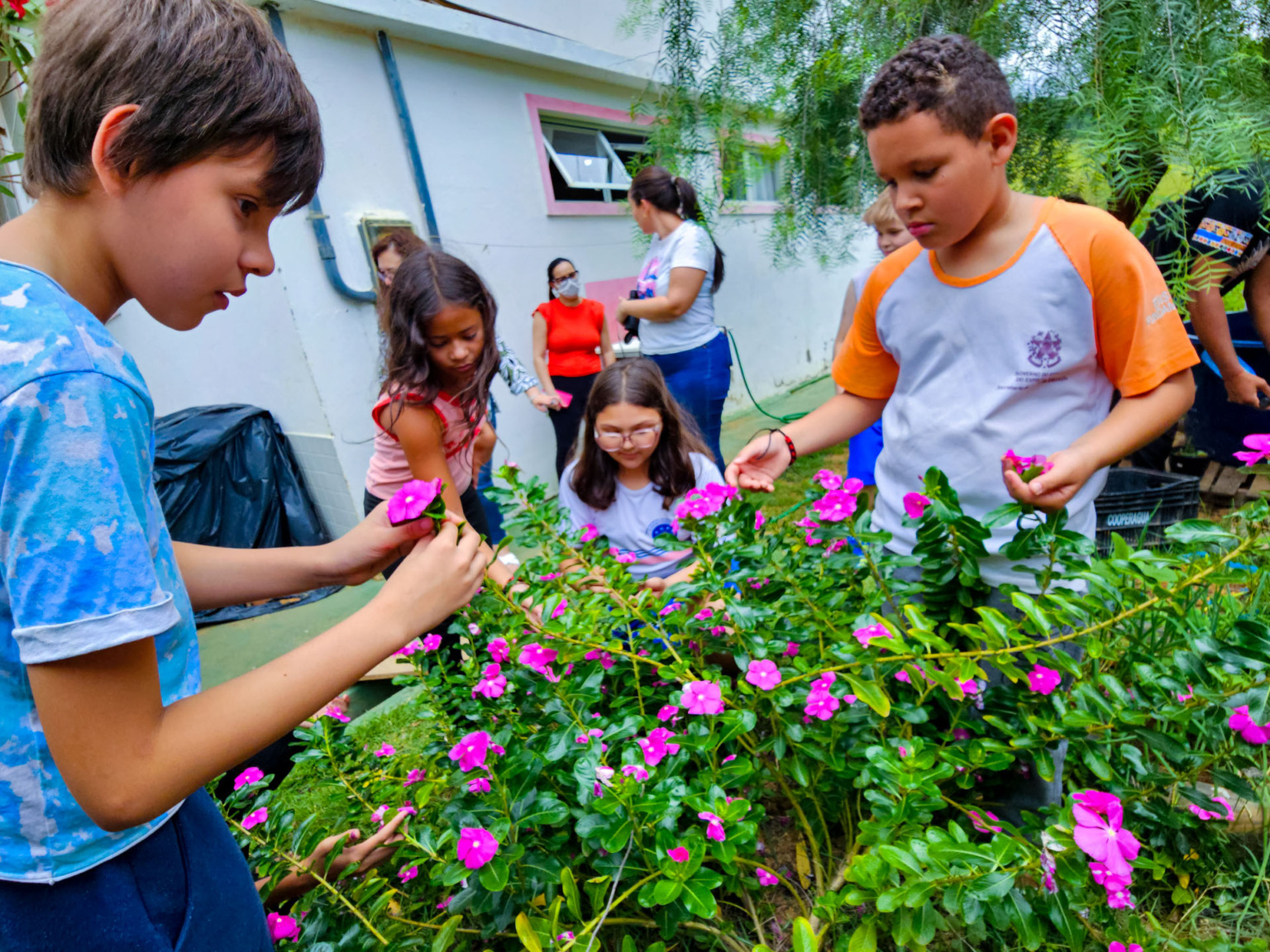 Foto: Leonardo Merçon Foto: Leonardo Merçon