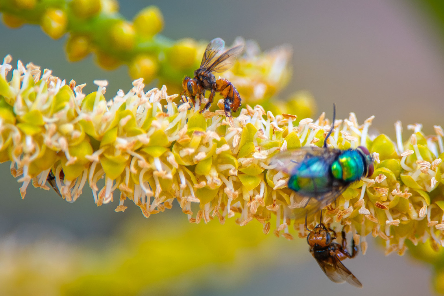 Foto: Leonardo Merçon Foto: Leonardo Merçon