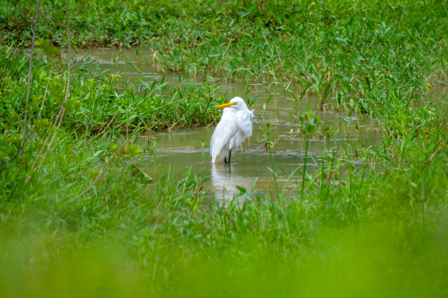 Foto: Leonardo Merçon Foto: Leonardo Merçon