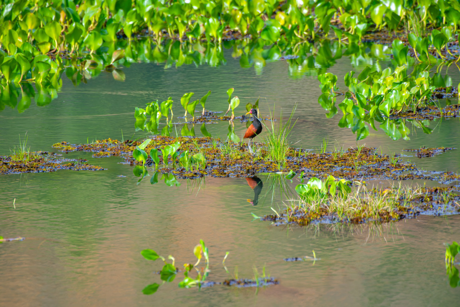 Foto: Leonardo Merçon Foto: Leonardo Merçon