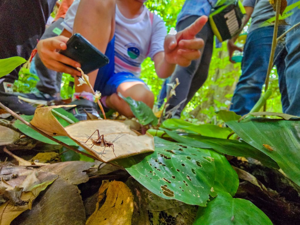 Crian&ccedil;as do Clube de Observadores da Natureza Sabi&aacute; visitam a RPPN Guaribus, em Itagua&ccedil;u. Foto: Leonardo Mer&ccedil;on