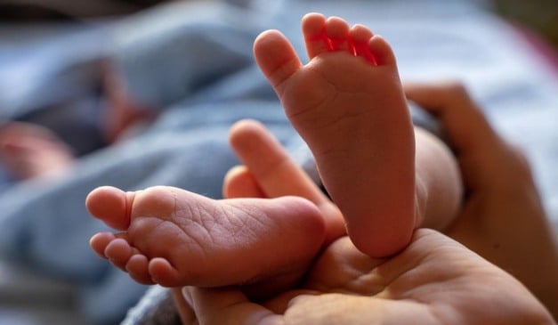 Foto: Pixabay/ Reprodução 