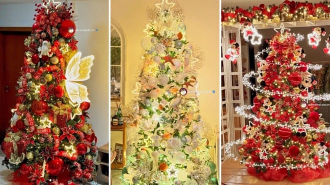 Árvores de Natal (Foto: Cristiano Andrade)