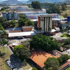 Grupo Trist&atilde;o