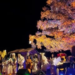 Foto: Equipe Fafi/Divulgação