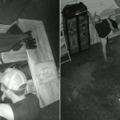 Foto: Reprodu&ccedil;&atilde;o/TV Vit&oacute;ria