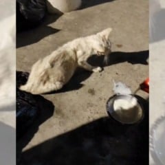 Foto: Acervo Pessoal