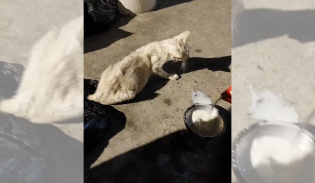 Foto: Acervo Pessoal