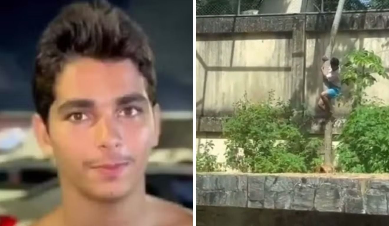 Morte de jovem atacado por leoa