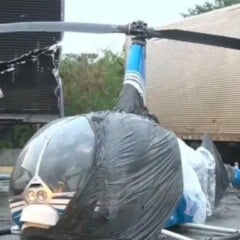 Reprodu&ccedil;&atilde;o/Record