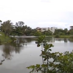 Foto: TV Vitória/ Reprodução 