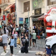 De setembro a novembro, 5,6 milh&otilde;es de pessoas estavam desempregadas. Foto: Rovena Rosa/Ag&ecirc;ncia Brasil
