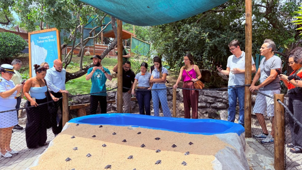 Projeto Tamar apresenta modernização museológica. Foto: Laís Magesky Projeto Tamar apresenta modernização museológica. Foto: Laís Magesky