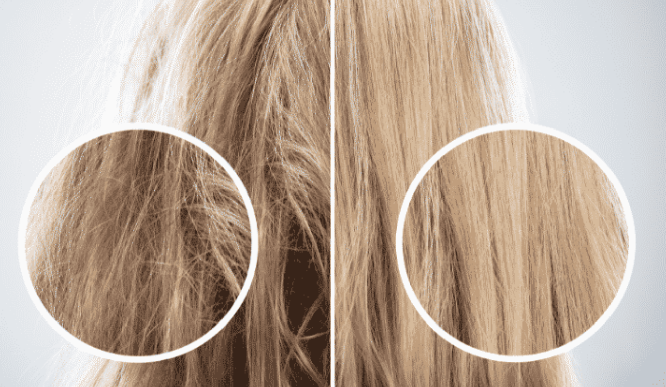 Foto: reprodução / 