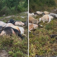 Foto: Arquivo pessoal