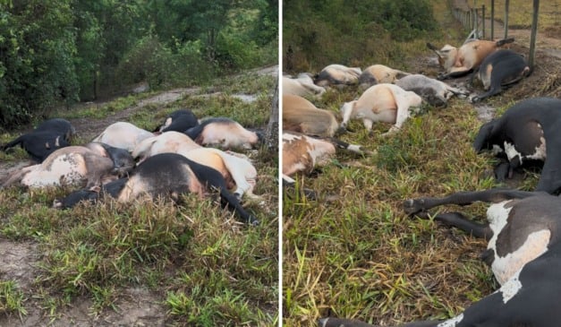 Foto: Arquivo pessoal