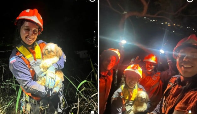 Foto: Reprodução/Instagram