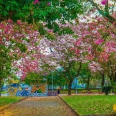 Foto: Edson Reis/Secom-PMS