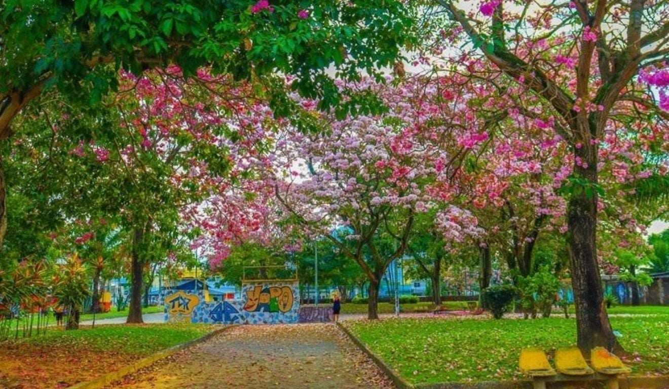 Foto: Edson Reis/Secom-PMS Foto: Edson Reis/Secom-PMS