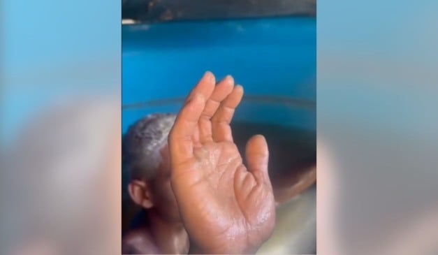 Suspeito foi encontrado dentro de caixa d'água - Foto: Redes Sociais