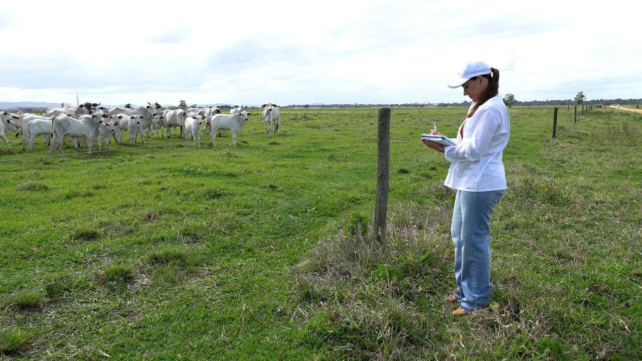 Reforma Tributária no agronegócio