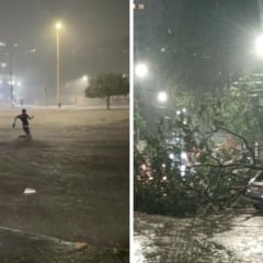 Terminal de Itacibá e queda de árvore em Barro Vermelho. Fotos; Leitor/Folha Vitória