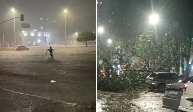 Terminal de Itacibá e queda de árvore em Barro Vermelho. Fotos; Leitor/Folha Vitória