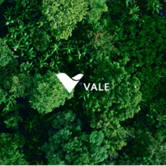 Vale lan&ccedil;a campanha de fim de ano propondo prote&ccedil;&atilde;o da floresta como pauta permanente: Em 2026 e sempre
