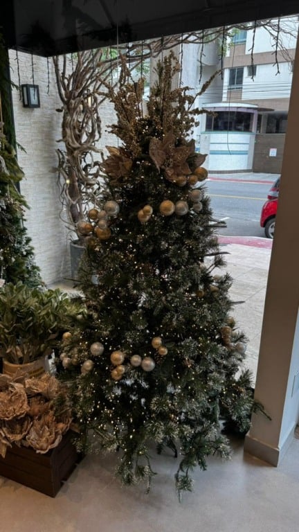 Decoração de Natal de luxo em loja da Praia do Canto (Foto: Pedro Permuy)