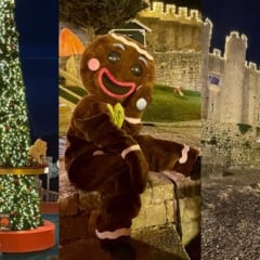 Cr&eacute;dito: Arquivo pessoal Rafaela Capeli