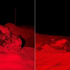 Tartaruga-de-Couro em Regência, Linhares - ES. Foto: Raphaela Pereira dos Santos Silva