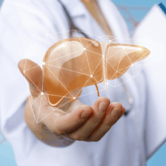 Saúde do fígado/Canva