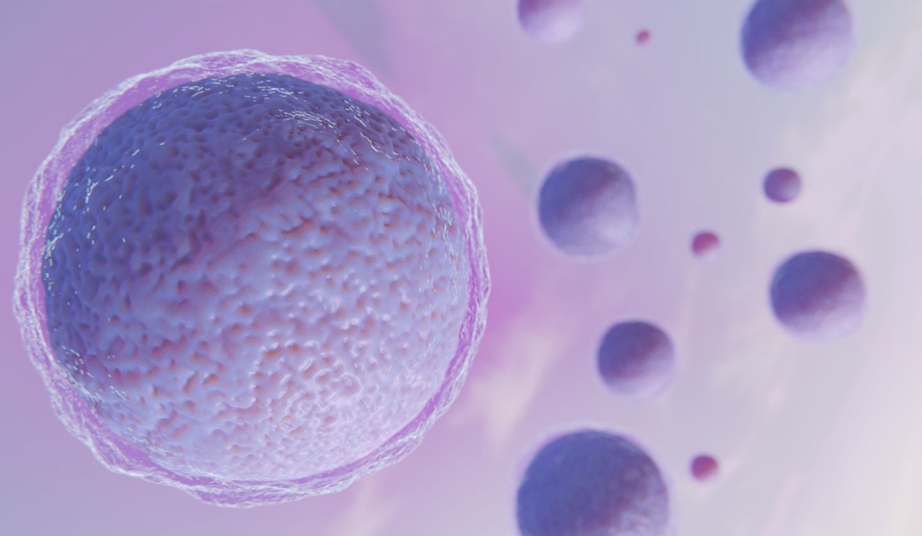 Imagem: Freepik Imagem: Freepik