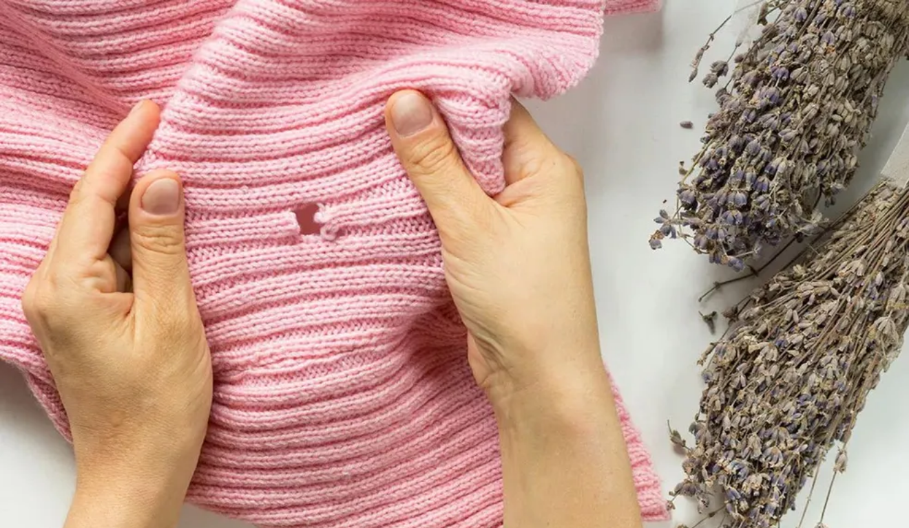 Foto: Freepik Foto: Freepik