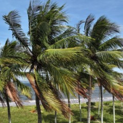 ventos fortes ventania previs&atilde;o do tempo Praia de Camburi 6