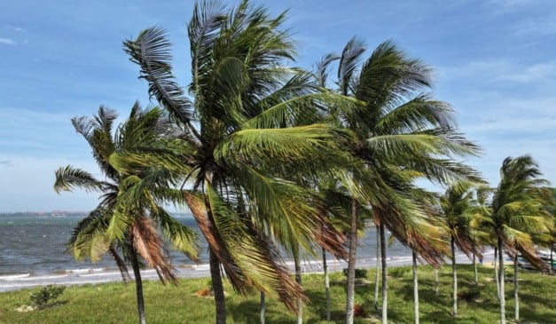 ventos fortes ventania previsão do tempo Praia de Camburi 6