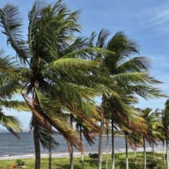 ventos fortes ventania previs&atilde;o do tempo Praia de Camburi 6