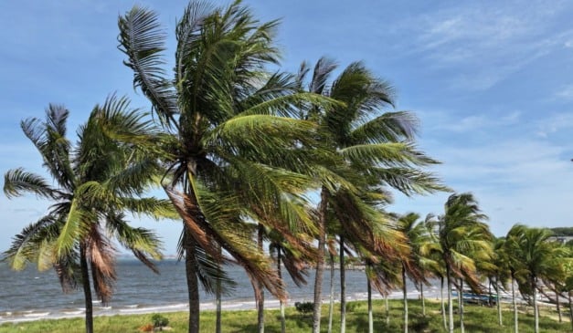 ventos fortes ventania previsão do tempo Praia de Camburi 6