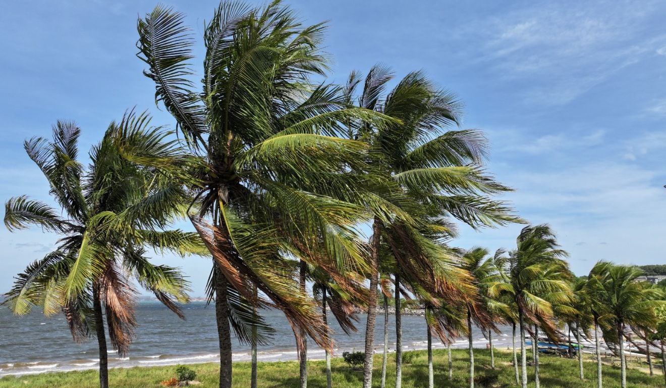 ventos fortes ventania previsão do tempo Praia de Camburi 6
