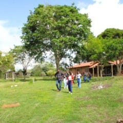 Rota do Café Conilon em Jaguaré