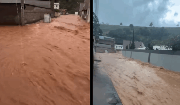 Foto: reprodução/redes sociais 