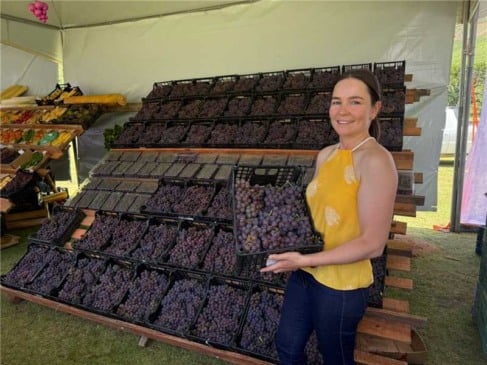 Festival da Uva e do Vinho espera reunir até 5 mil pessoas em São Bento de Urânia