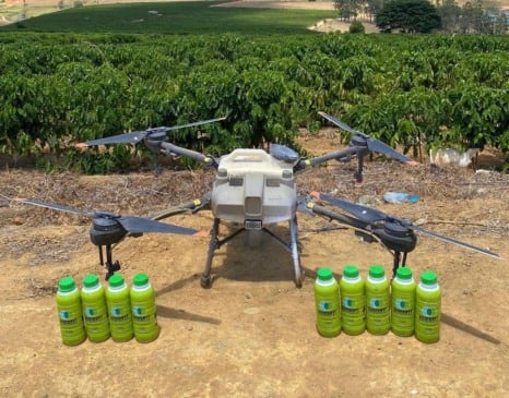 Produtores do ES usam "protetor solar" para reduzir danos do calor nas lavouras de café