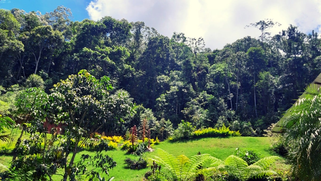 RPPN Reluz, em Marechal Floriano, criada pelo casal capixaba Renata Bomfim e Luiz Bittencourt RPPN Reluz, em Marechal Floriano, criada pelo casal capixaba Renata Bomfim e Luiz Bittencourt